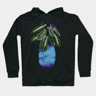 Prayer Plant, Maranta plant illustration Hoodie